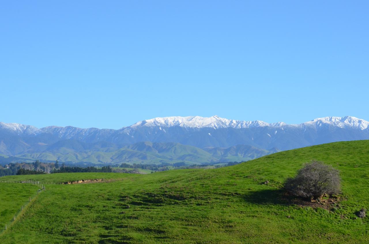 Ashcott Homestead Bed & Breakfast Takapau Экстерьер фото